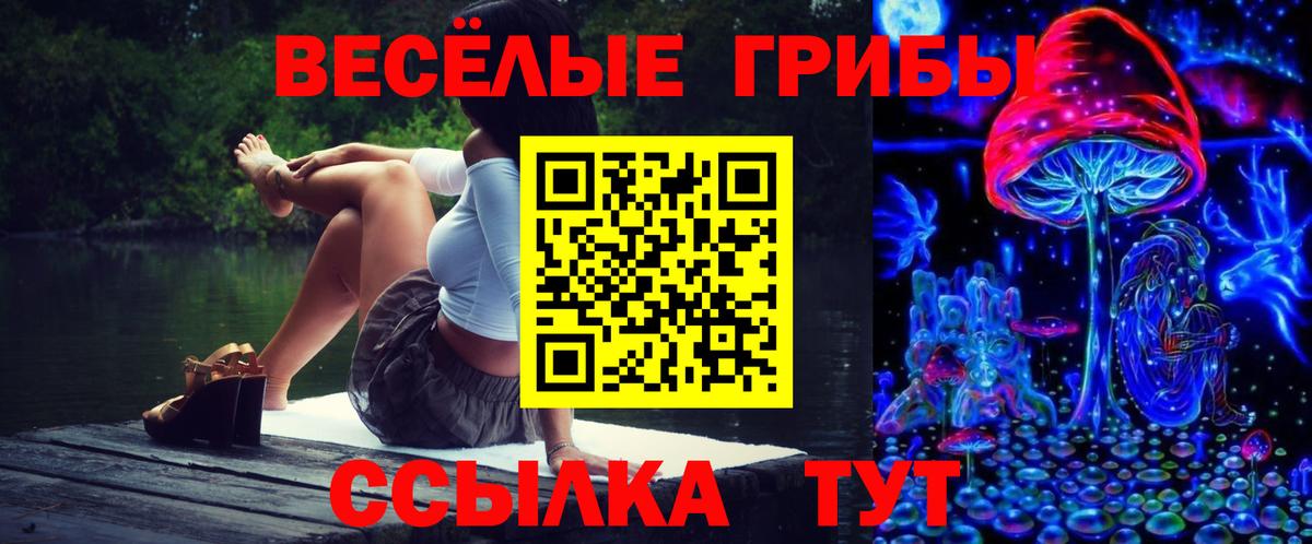 Миллерово  Псилоцибиновые грибы мицелий  Вход с VPN 